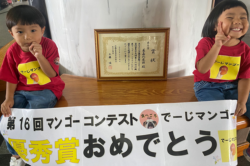 【2026年発送】【令和5年度優秀賞受賞】でーじマンゴーアップルマンゴー2kg(優品) 26-5